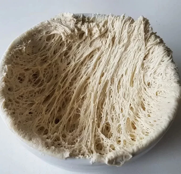 תמונה של רשת גלוטן