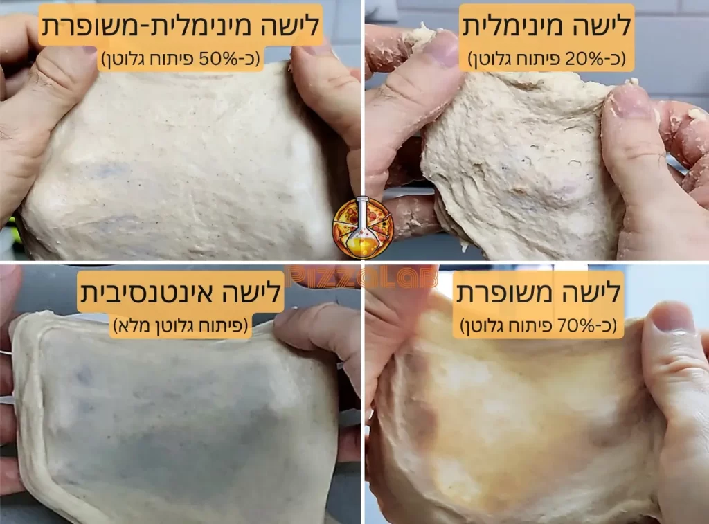 תמונה של בצק בשלבים שונים של לישה ופיתוח גלוטן