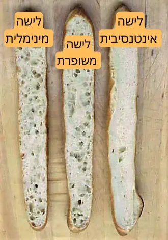 תמונה של מבני קראמב שונים כתוצאה משיטות לישה שונות