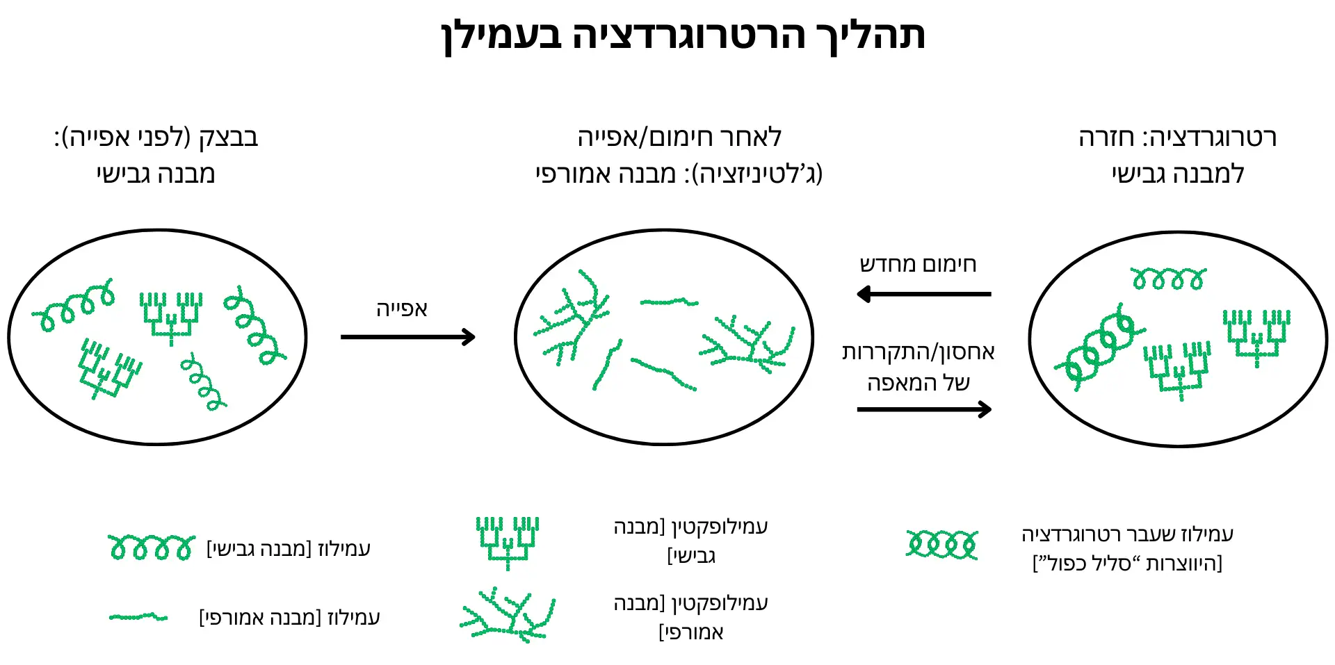 תרשים של תהליך הרטרוגרדציה בעמילן